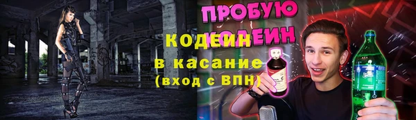 СК Сосновоборск