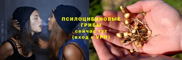 СК Сосновоборск