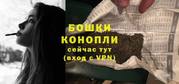 СК Сосновоборск
