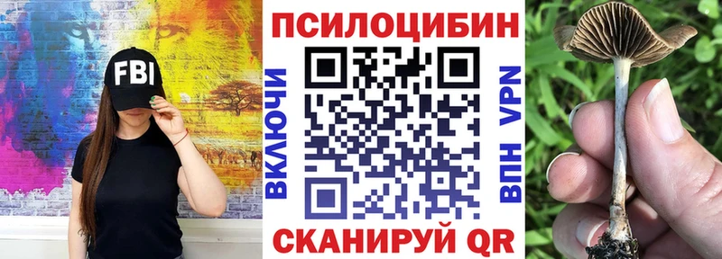 даркнет состав  МЕГА сайт  Псилоцибиновые грибы мицелий  Талдом  купить  